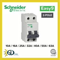 2 Pole Schneider Easy9 6kAIC MCB 10A 16A 20A 25A 32A 40A 50A 63A Miniature Circuit Breaker
