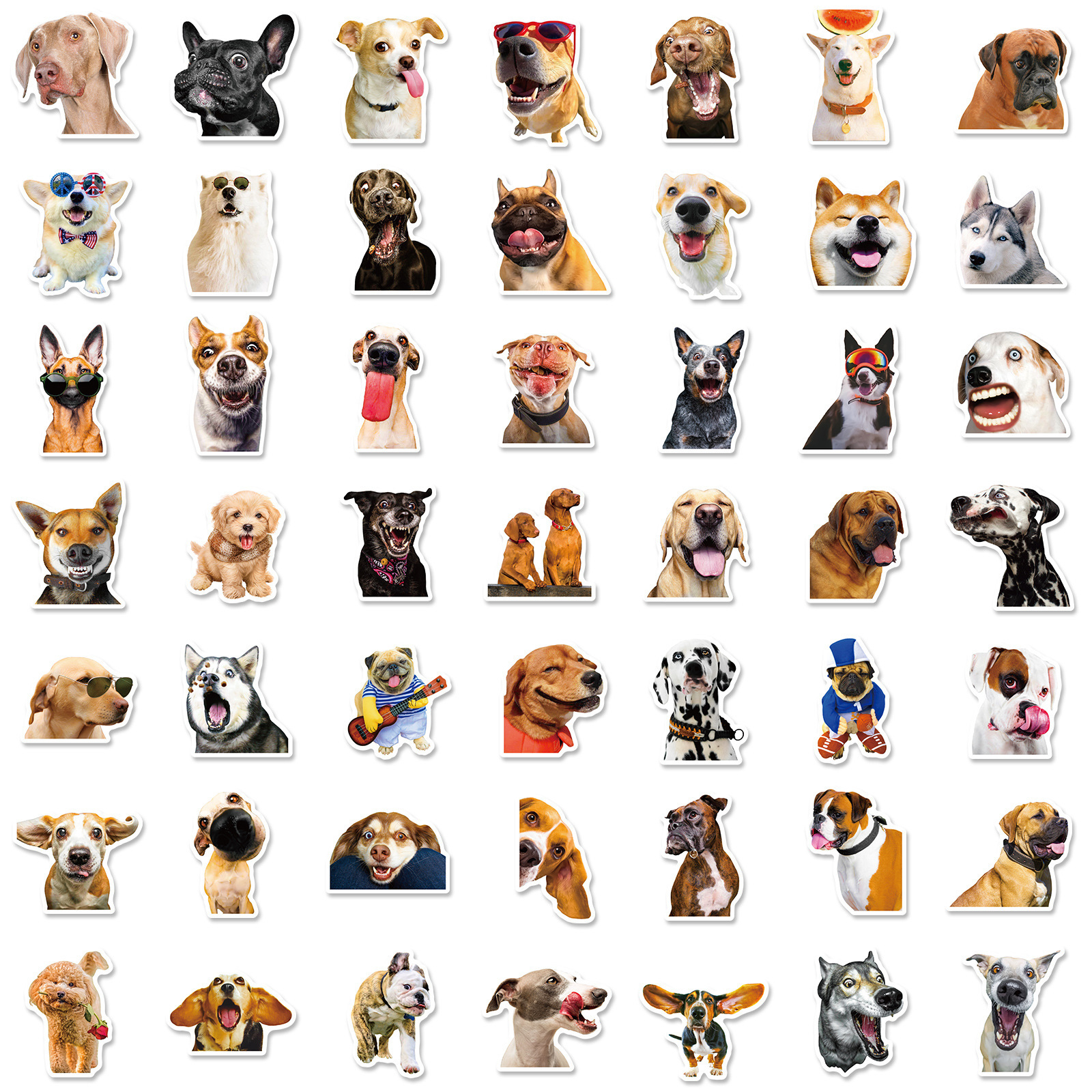 Teeker Pet 1Pcs Cat Stickers Funny Dog Decoration Decals Stationery Waterproof Graffiti Sticker Kids Pet Toys Dog Toys