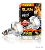 Exo Terra Sun Glo Intense Basking Spot Lamp 50W / 75W / 100W
