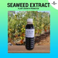 Seaweeds Extract / Fruit and Plant Growth Promoter - Organic Fertilizer for Gardening / Hydroponics