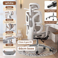 【30Day Free Trial】Xpanse W203 Ice Silk Mesh Ergonomic Office Chair Computer Study Chair Gaming Chair