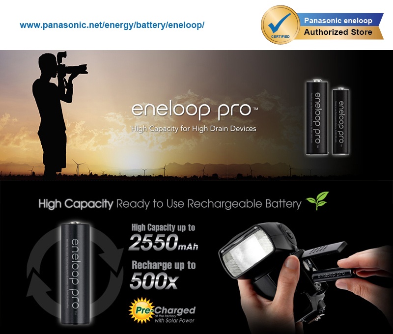 Sanyo Eneloop AAA 2 Pack (BK-4MCCE/2BT)