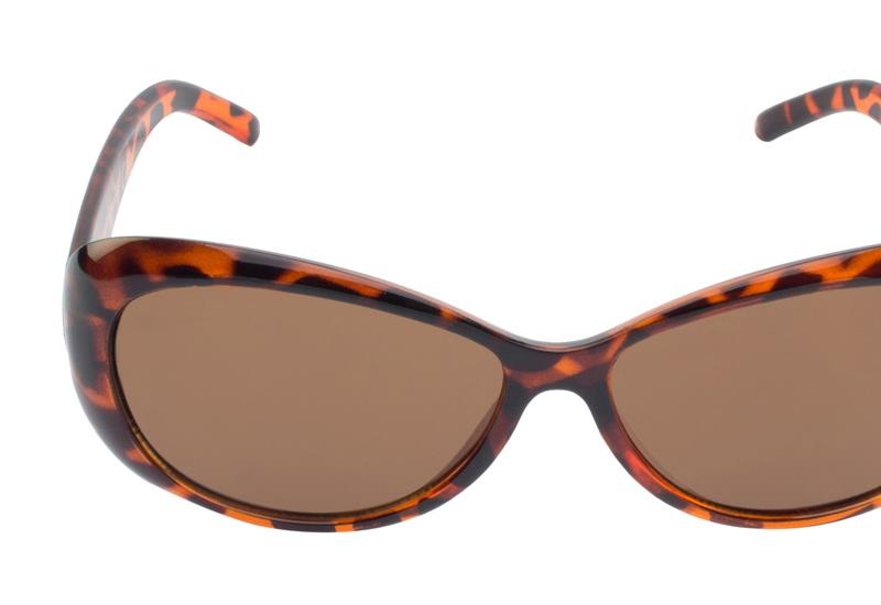 SUN 204 0707_Front_800x550_Zoom.jpg